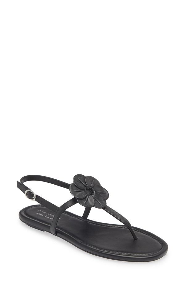 スチュアート ワイツマン レディース シューズ サンダル Stuart Weitzman x Sandy Liang TStrap Slingback Sandal Black Smooth Calf ブラック