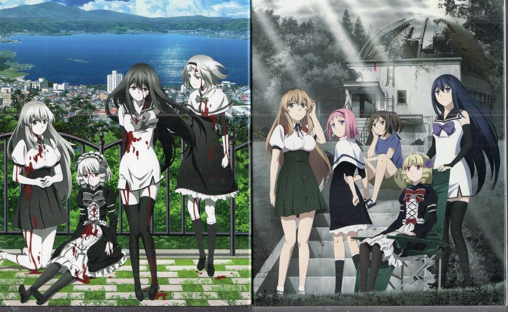 バップ アニメBlu-ray 全2BOX)極黒のブリュンヒルデ Blu-ray BOX セット