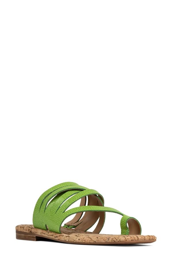 ドナルドプリネール レディース シューズ サンダル Donald Pliner Hazie Toe Loop Sandal Kiwi