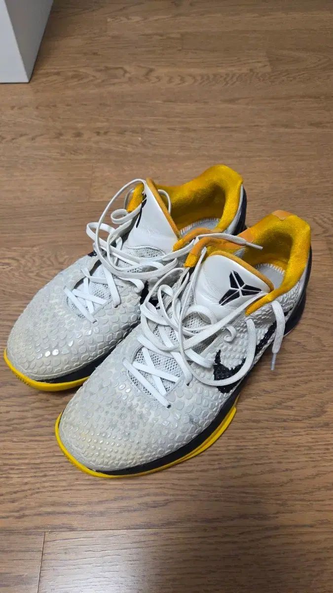 コービー6 プロトロ デルソル 270