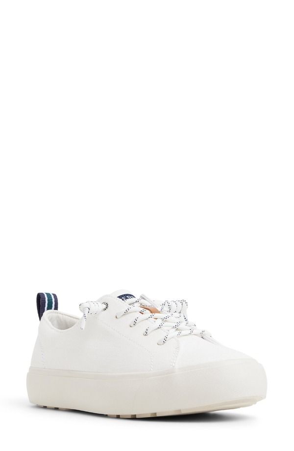 スペリー レディース シューズ スニーカー レース Sperry Cove LacetoToe Sneaker White ホワイト