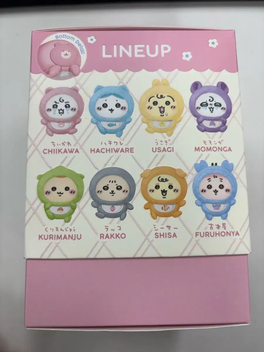 ねこねこ日本史 DVD BOX そにしけんじ 中学受験 日本の歴史 学習 まんが