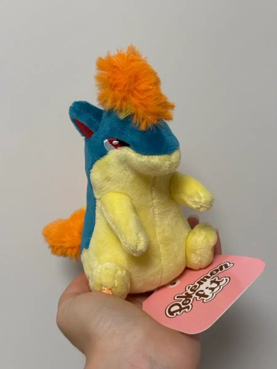 新品) ポケモンセンター マグマッグ フィット ぬいぐるみ 正規品