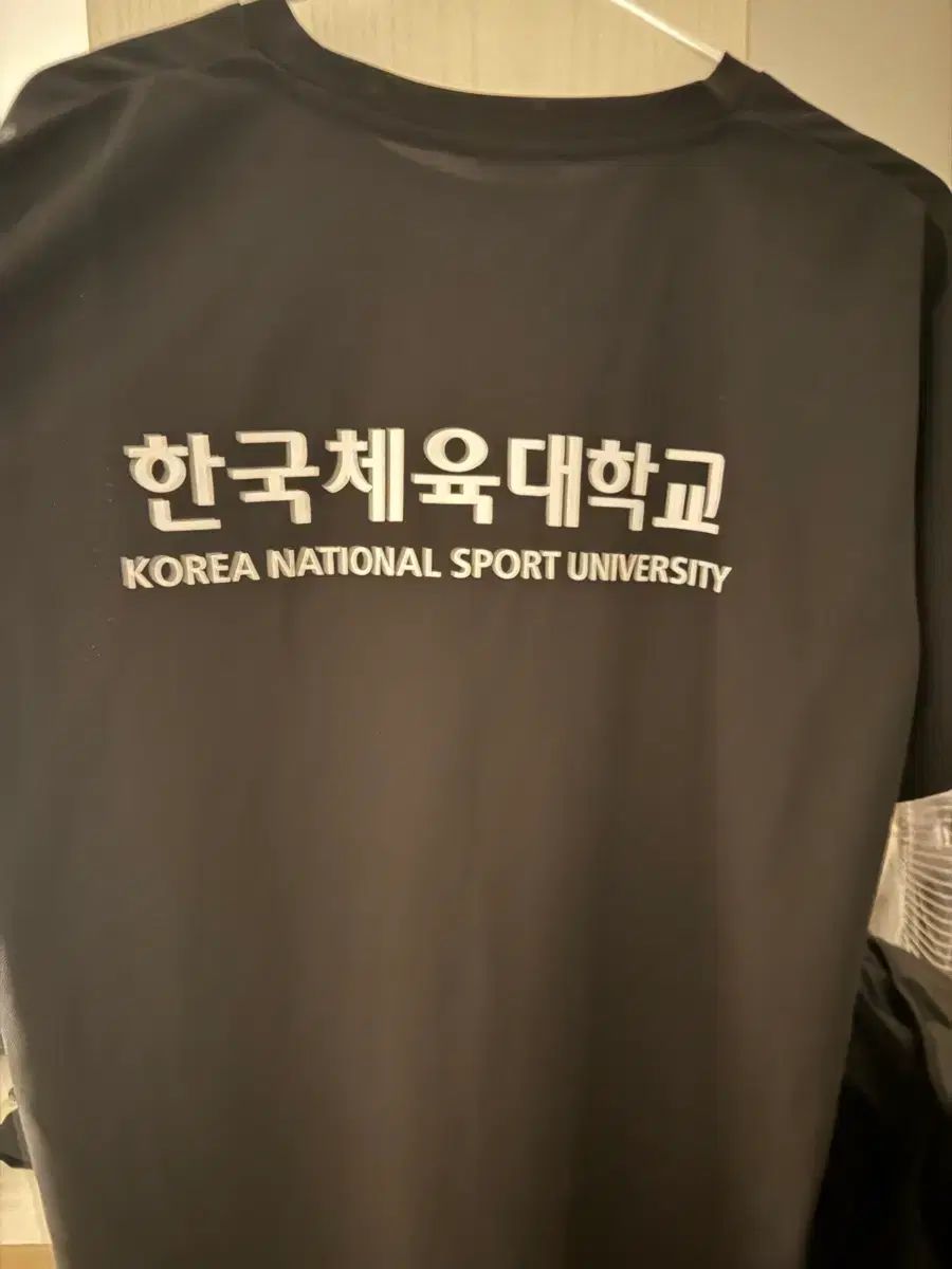 ハン体大 半袖 Tシャツ XL