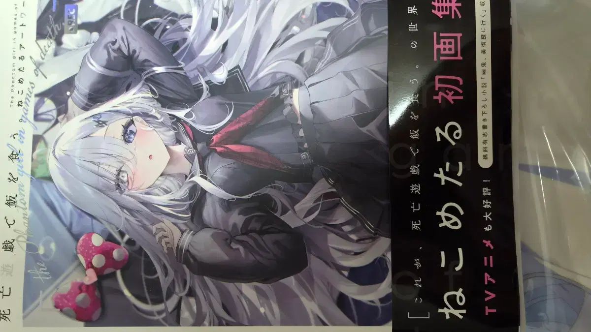 死亡遊戯（しぼうゆうぎ）で飯を食う 画集 特典 クリアファイル(A4) クリア ポスター(B