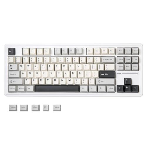 YUNZII YZ87 ガスケット搭載 メカニカルキーボード TKL ワイヤレスホットスワッパ ゲーミングキーボード 4層パッド BT5.0/2.4G/USB-C NKRO RGBバックライト Win/Mac用 技適認証取得 (ホワイト、ミル 516c0504