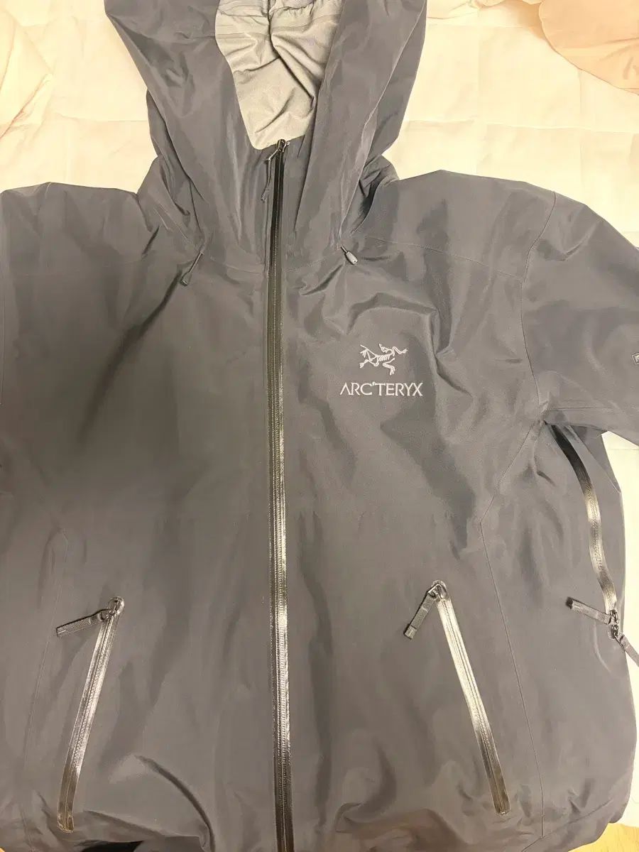 ARC'TERYX アークテリクス ベータ lt m