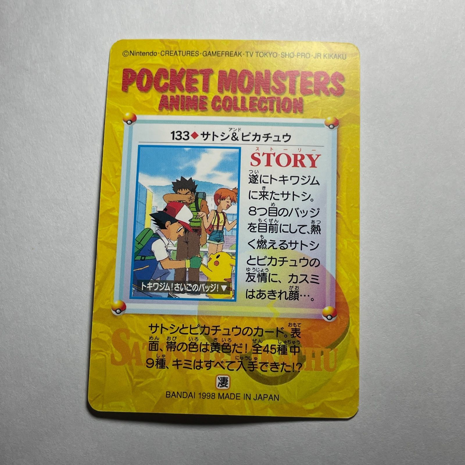 ポケモン アニメコレクション No.133 サトシ＆ピカチュウ Pocket 