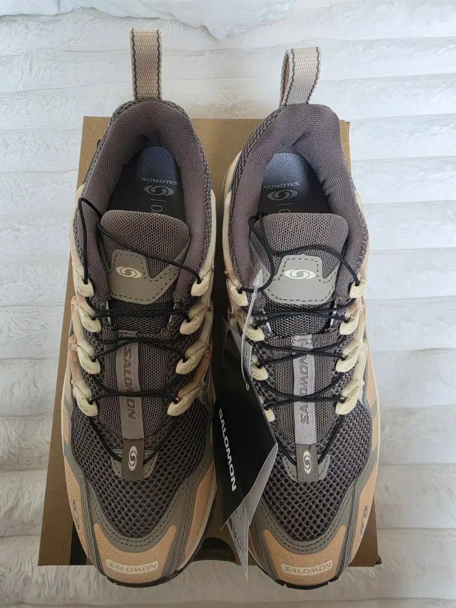 SALOMON ファルコン ヘイゼルナッツ 245