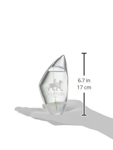 【ニコス】スカルプチュアオム EDT 100mL(並行輸入品)送料無料 【ニコス】スカルプチュアオム EDT 100mL(並行輸入品)送料無料