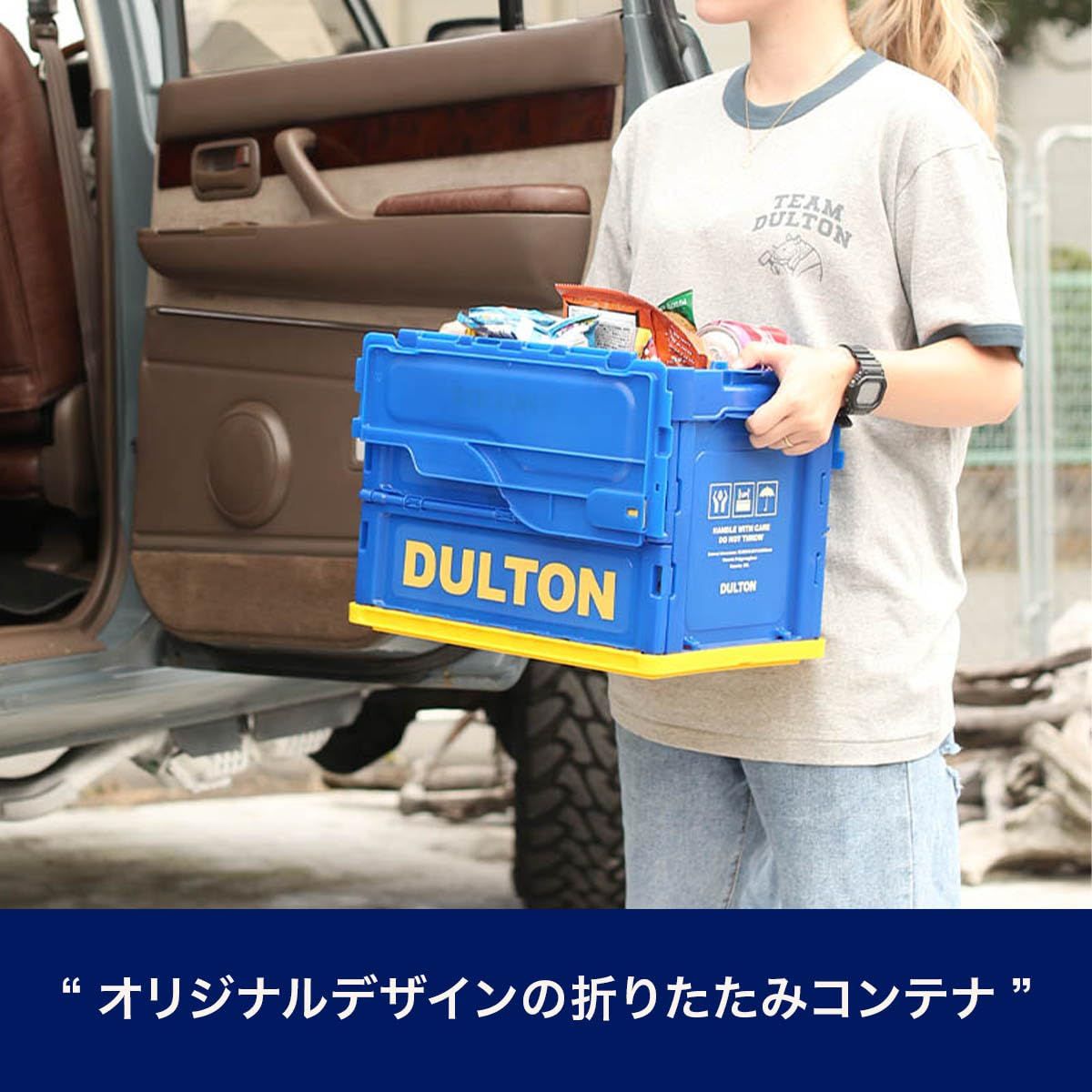 新品 ダルトン(Dulton) フォールディング コンテナ 40L H21-0343-40 折りたたみコンテナ ツールボックス