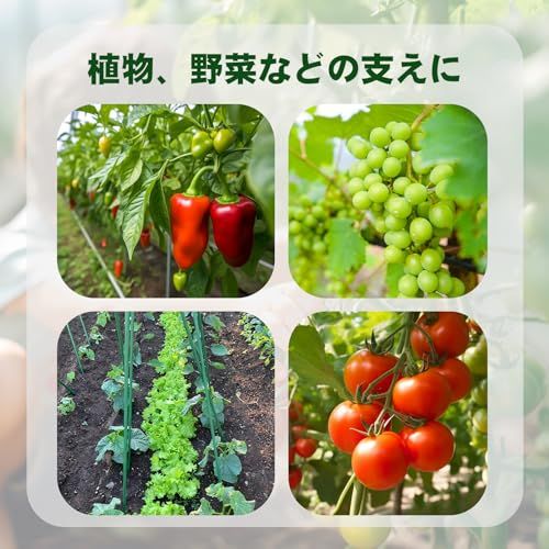 支柱 園芸25本セット 150cm 直径11mm イボ付 鋼管製 家庭菜園のトマト、チリ、豆類、鉢植えなどの園芸支柱 グリーン イボ竹 ガーデニング 園芸用品(沖縄・離島の方発送不可)) f9e9f2c3 支柱 園芸25本セット 150cm 直径11mm イボ付 鋼管製 家庭菜園のトマト、チリ、豆類、鉢植えなどの園芸支柱 グリーン イボ竹 ガーデニング 園芸用品(沖縄・離島の方発送不可)) f9e9f2c3