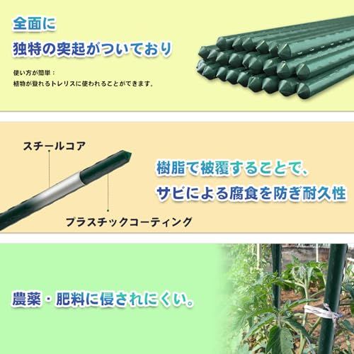 支柱 園芸25本セット 150cm 直径11mm イボ付 鋼管製 家庭菜園のトマト、チリ、豆類、鉢植えなどの園芸支柱 グリーン イボ竹 ガーデニング 園芸用品(沖縄・離島の方発送不可)) f9e9f2c3 支柱 園芸25本セット 150cm 直径11mm イボ付 鋼管製 家庭菜園のトマト、チリ、豆類、鉢植えなどの園芸支柱 グリーン イボ竹 ガーデニング 園芸用品(沖縄・離島の方発送不可)) f9e9f2c3