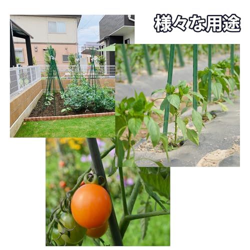 支柱 園芸25本セット 150cm 直径11mm イボ付 鋼管製 家庭菜園のトマト、チリ、豆類、鉢植えなどの園芸支柱 グリーン イボ竹 ガーデニング 園芸用品(沖縄・離島の方発送不可)) f9e9f2c3 支柱 園芸25本セット 150cm 直径11mm イボ付 鋼管製 家庭菜園のトマト、チリ、豆類、鉢植えなどの園芸支柱 グリーン イボ竹 ガーデニング 園芸用品(沖縄・離島の方発送不可)) f9e9f2c3