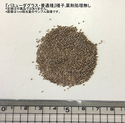 福花園種苗 西洋芝種子 バミューダグラス 種子1L詰 皮取種(普通種)(沖縄・離島の方発送不可）) 29cb1742