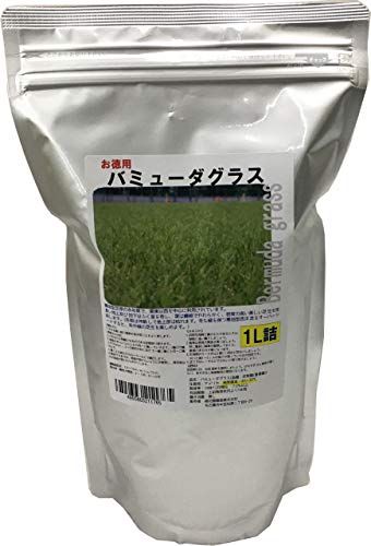 福花園種苗 西洋芝種子 バミューダグラス 種子1L詰 皮取種(普通種)(沖縄・離島の方発送不可）) 29cb1742