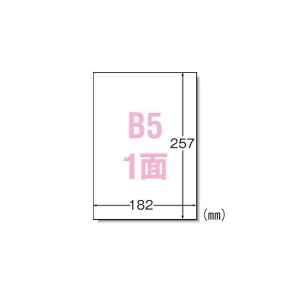 (まとめ) エーワン ラベルシール〈プリンタ兼用〉 マット紙 ノーカットタイプ 28421 100枚入 〔×2セット〕