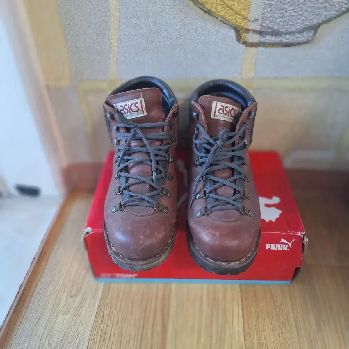 アシックス 登山靴兼 ウォーカーブーツ 265