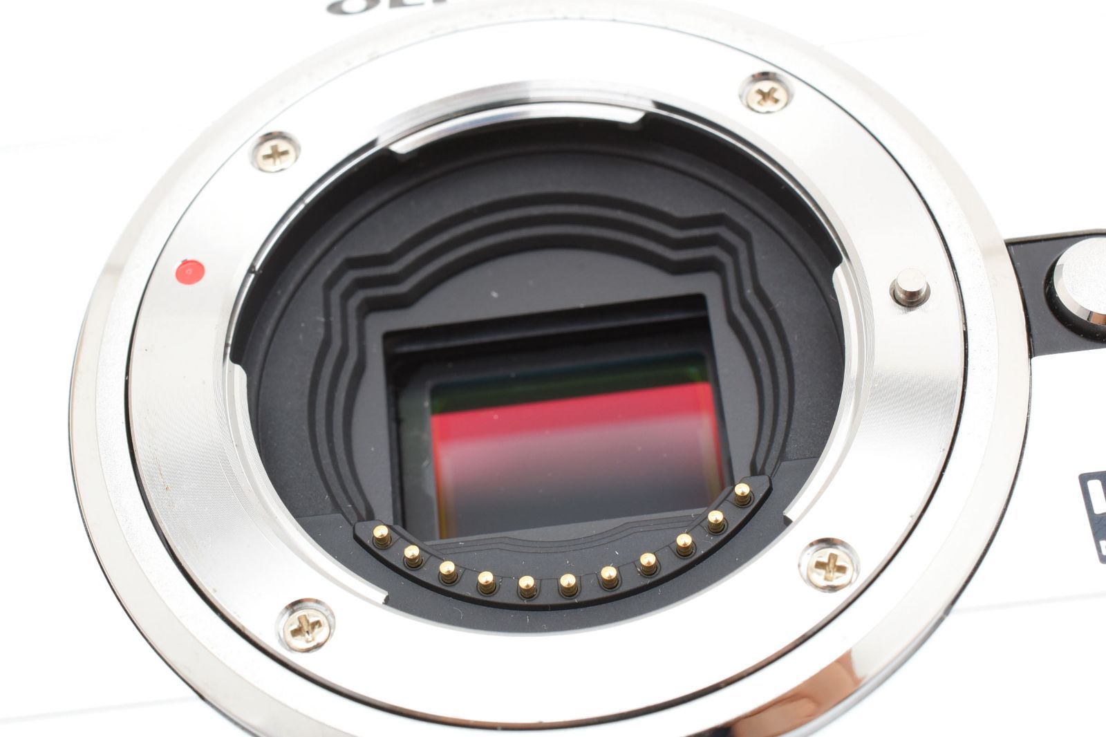 ★極美品★オリンパス OLYMPUS E-PL1 元箱付き #1951 ☆極美品☆オリンパス OLYMPUS E-PL1 元箱付き #1951 - メルカリ