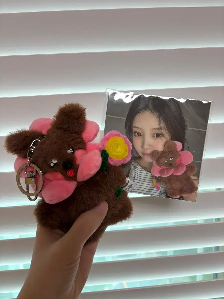 クマドール 희 아일릿 ONE 희 ぬいぐるみ