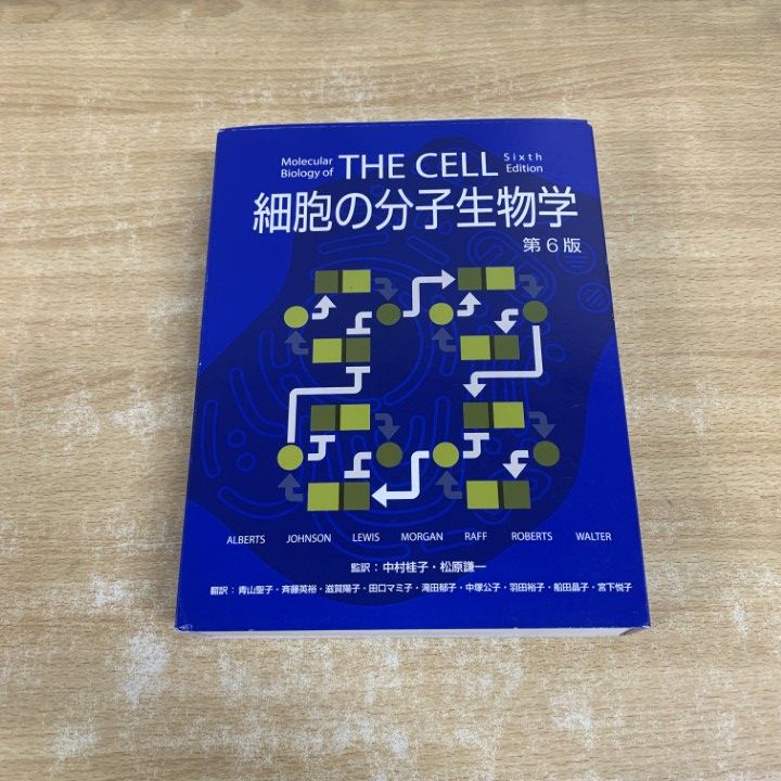 ▲01)【1点限り!】細胞の分子生物学/第6版/BRUCE ALBERTS/ニュートンプレス/2020年発行/生物学/A