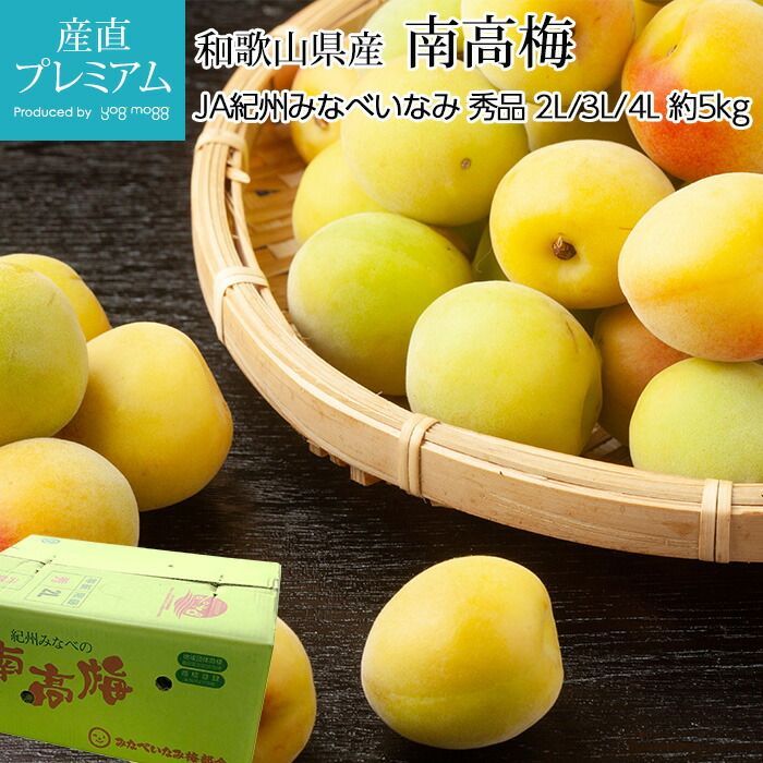 ◉本場紀州の南高梅◉ 約5kg 2L, 3L, 4L選択可能✨ 完熟 青梅 梅干し 梅酒 梅シロップ 梅しごと 産地直送 最高級ブランド ?✨