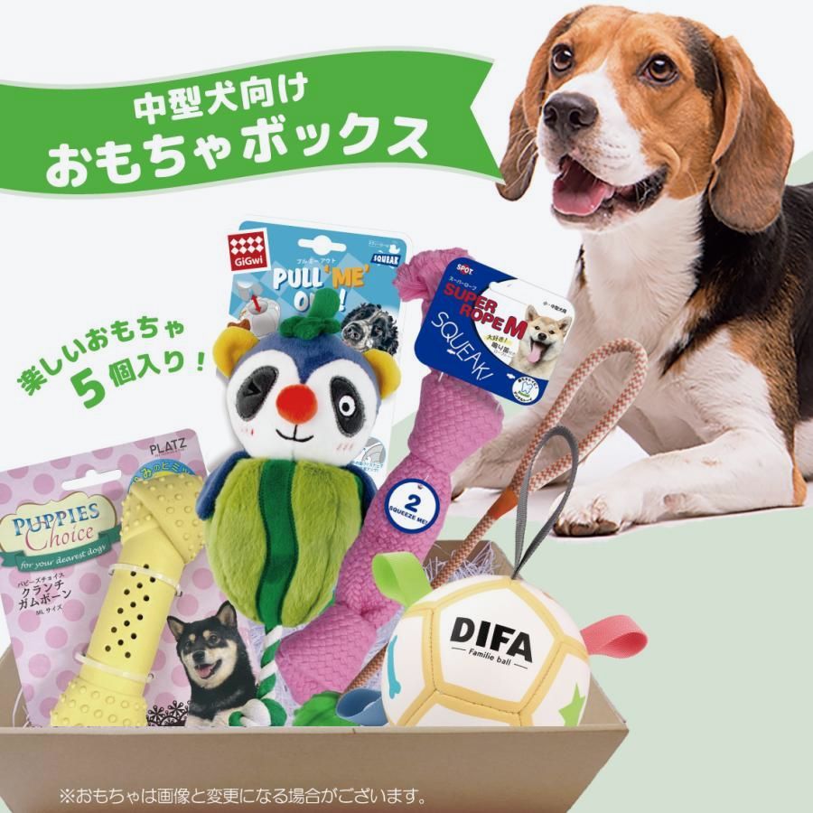 【送料無料】犬おもちゃ 中型犬 セット 詰め合わせ 中型犬用 ロープ ボール オモチャ ギフト プレゼント デンタル 犬用 おもちゃボックス