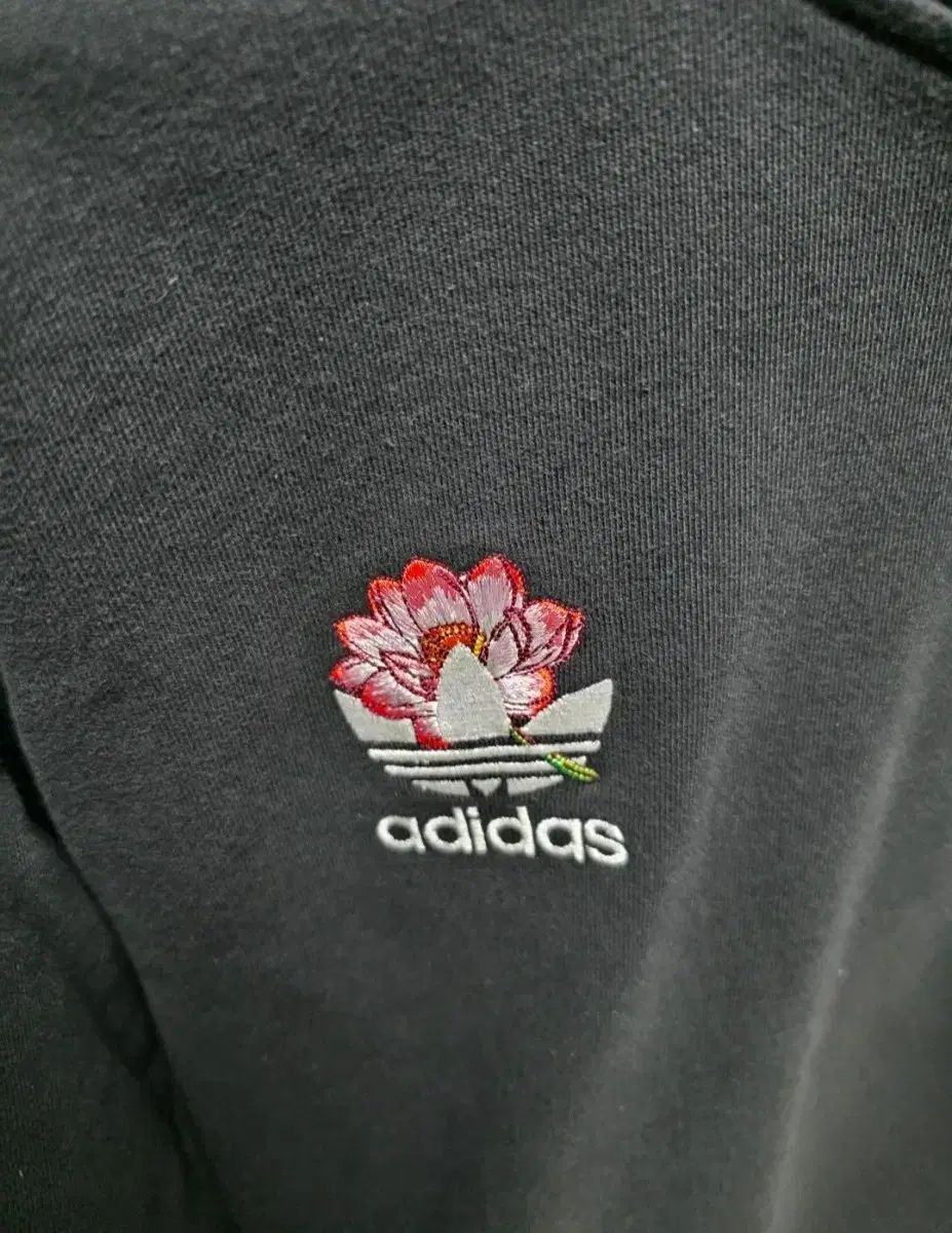 パレス WHO