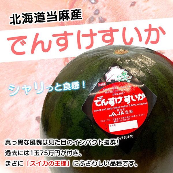 でんすけ すいか 北海道 でんすけ西瓜 秀品 3L 約8kg 夏ギフト デンスケスイカ 果実 フルーツ くだもの お中元 プレゼント 段ボール箱入り【北海道産】 家庭用 ギフト