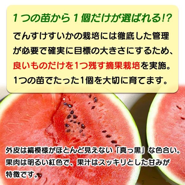 でんすけ すいか 北海道 でんすけ西瓜 秀品 3L 約8kg 夏ギフト デンスケスイカ 果実 フルーツ くだもの お中元 プレゼント 段ボール箱入り【北海道産】 家庭用 ギフト