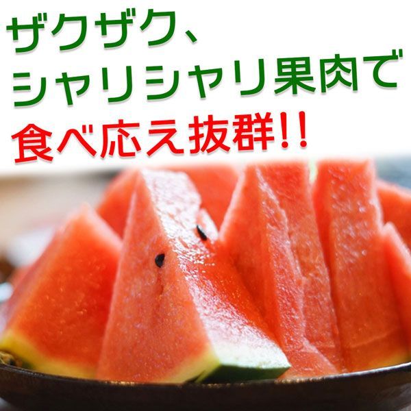 でんすけ すいか 北海道 でんすけ西瓜 秀品 3L 約8kg 夏ギフト デンスケスイカ 果実 フルーツ くだもの お中元 プレゼント 段ボール箱入り【北海道産】 家庭用 ギフト