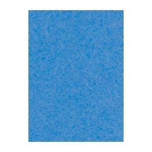 （まとめ） 文運堂 ニューカラーR 四ツ切 横392×縦542mm 4NCR-250 そらいろ 100枚入 〔×2セット〕