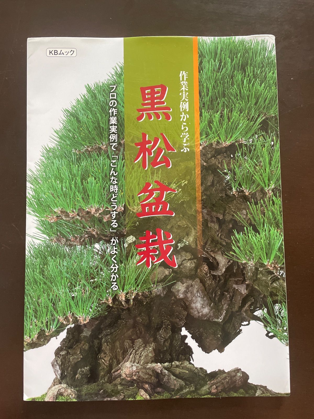作業実例から学ぶ黒松盆栽: プロの作業実例で「こんな時どうする」がよく分かる (KBムック) | 月刊「近代盆栽」編集部