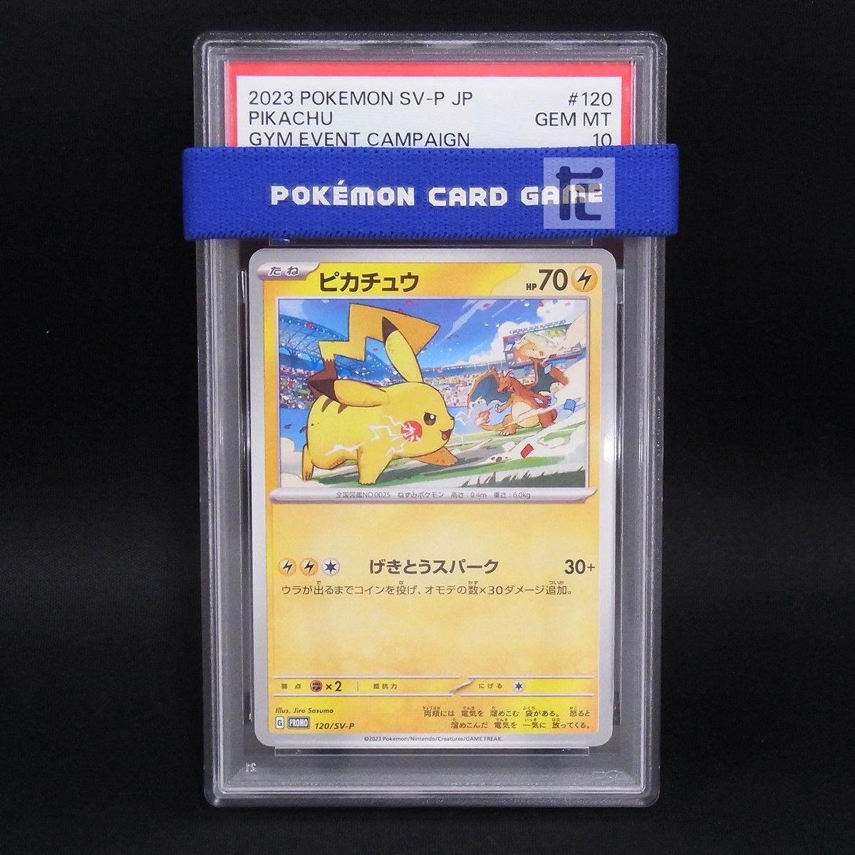 PROMO ピカチュウ 120/SV-P PSA10 / TA24597