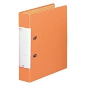 LIHITLAB D型リングファイル 〔A4/2穴〕 タテ型 G2250-4 橙 10冊
