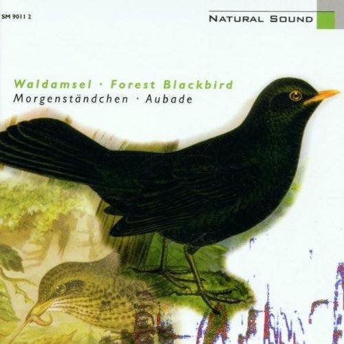 【CD】自然音作品 - 森のクロツグミ (The Sound of Nature - Waldamsel - Forest Blackbird / Morgenstaendchen - Aubade)