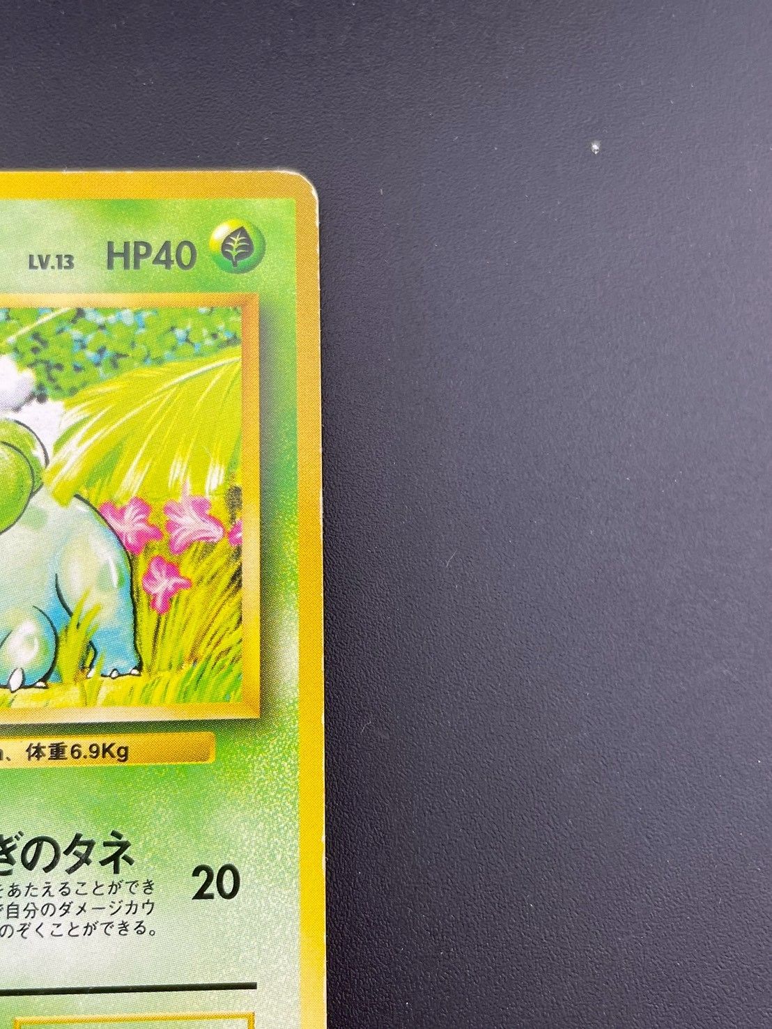 中古品】 フシギダネ LV.13 No.001 ○ 拡張パック ポケモンカード