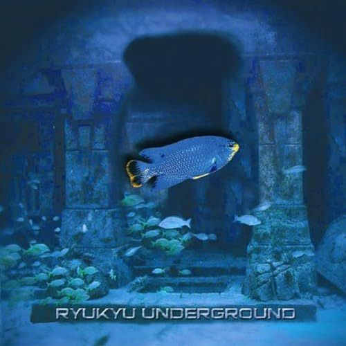 【中古】「非常に良い」［CD］Ryukyu Underground CD】Ryukyu Underground - メルカリ