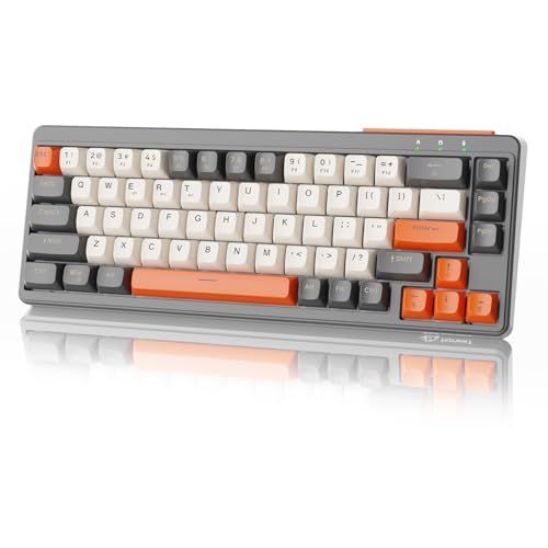 ZIYOU LANG M68 コンパクト 3モード メンブレン キーボード Bluetooth ワイヤレス 有線 2.4GHz Type-C 67キー 65% RGB照明 充電式 静音 小型 PBT球面キーキャップ USB レシーバー 人体工 19c7007a
