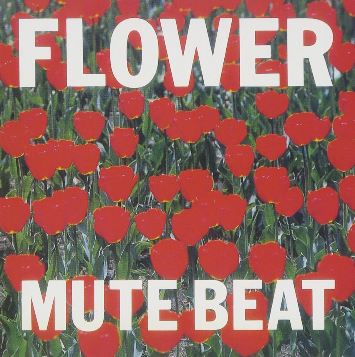 【CD】FLOWER