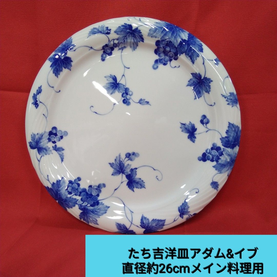 京都老舗【たち吉】直径約26cm 大皿二枚組洋皿アダムとイブ 和皿 青