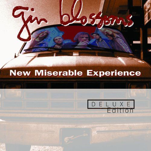 【CD】New Miserable Experience (Dlx) (Dig) 8,494円