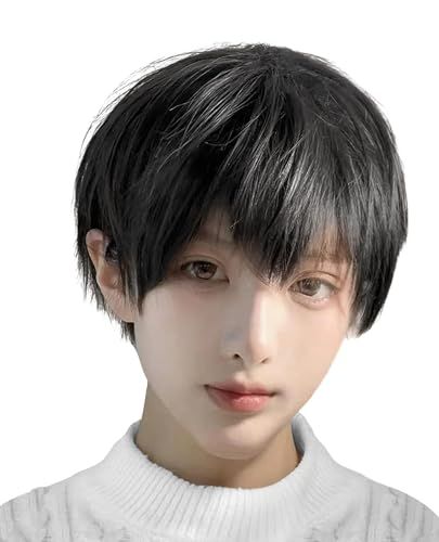 ウィッグ メンズ 男性用 ショート プレミアム 男装 かつら フルウィッグ イメチェン wig 自然 耐熱 おしゃれ 人気 小顔 紳士 ふわふわ 普段使い ファッション イケメン ふんわり ネット付 (ブラックブラウン)pms 8ef86142