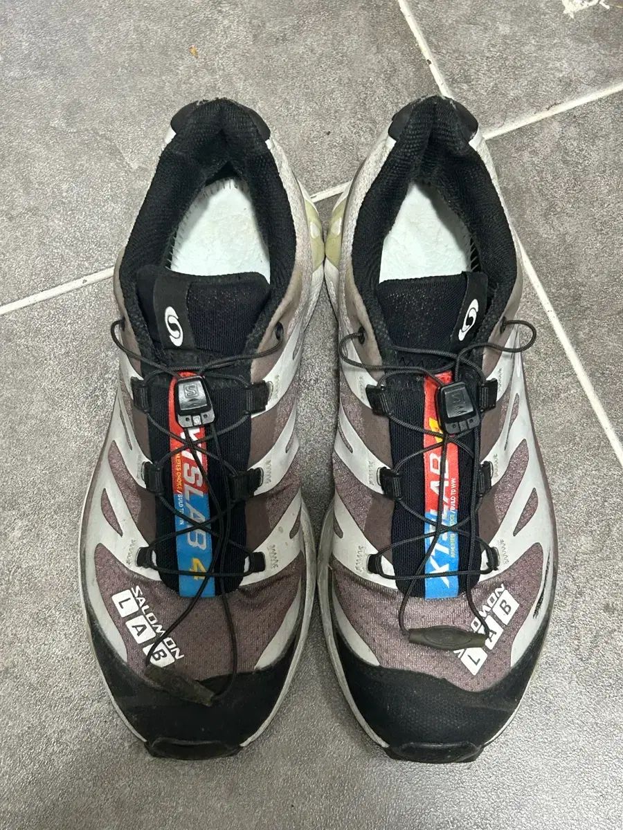 SALOMON スニーカー 250