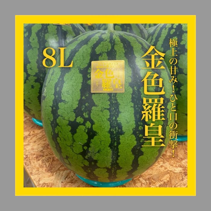 【金色羅皇】極上の甘み！ひと口の衝撃！　高糖度　14度　大玉　５L 　日本一植木すいか（熊本)　希少　送料無料　北海道沖縄離島も追加送料なし！！
