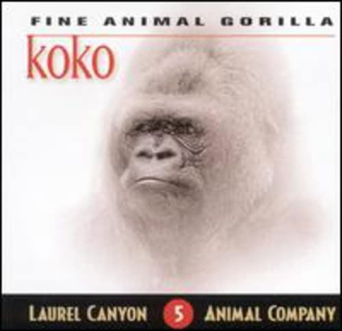 【CD】Fine Animal Gorilla