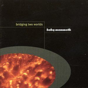 【CD】Bridging Two Worlds
