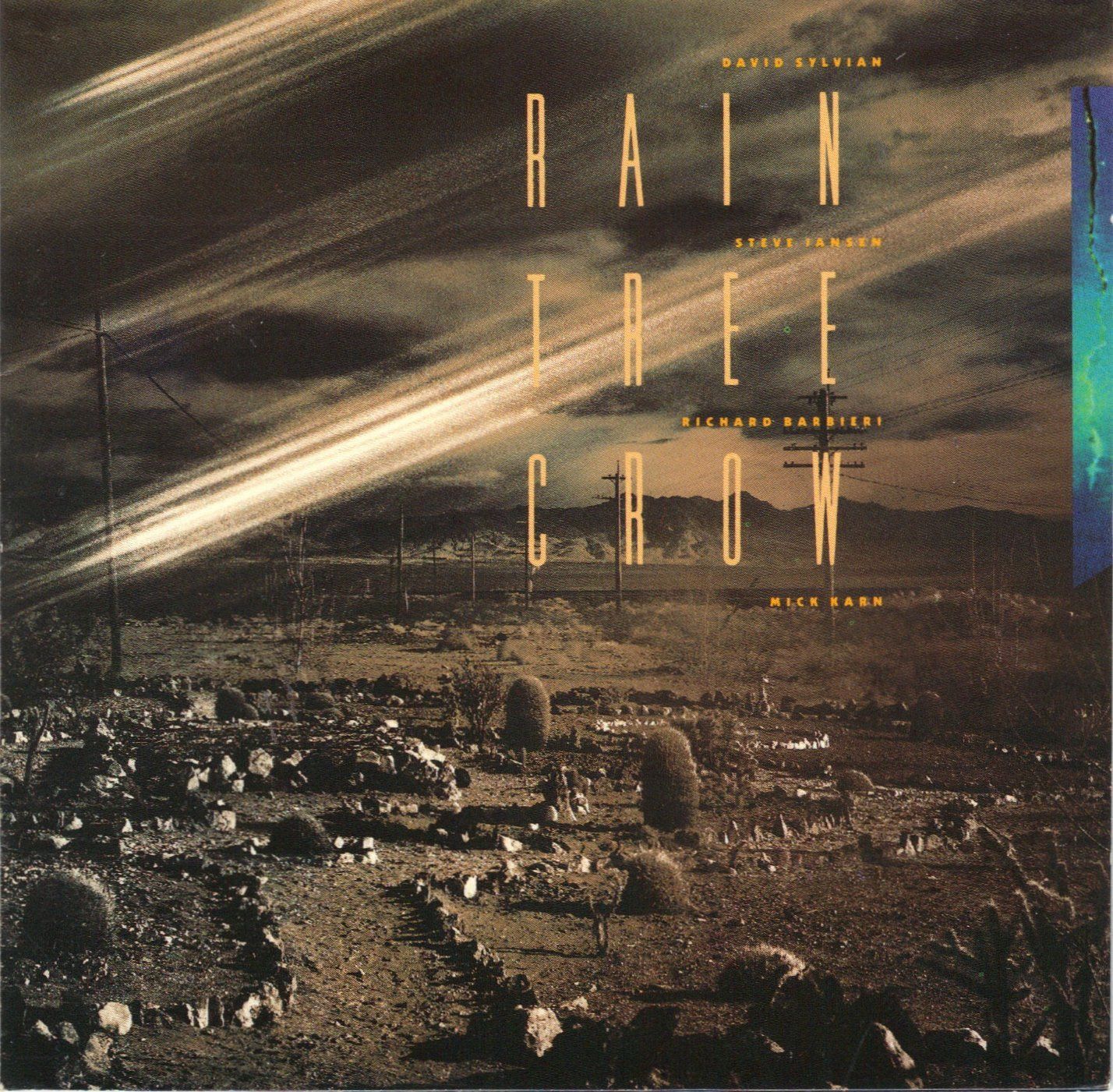 【CD】【輸入盤】Ｒａｉｎ　Ｔｒｅｅ　Ｃｒｏｗ