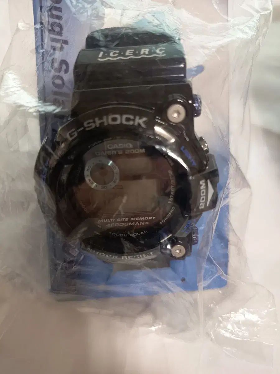 청프로グマン 正規品新品