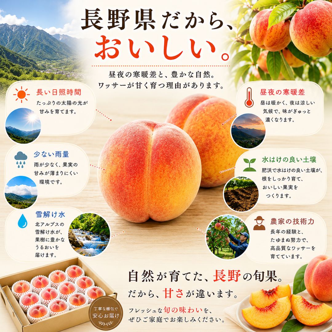 260早生ワッサー 家庭用5キロ メーカー公式通販
